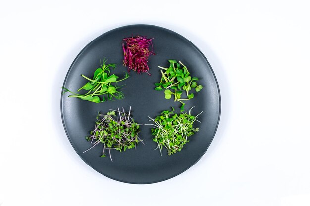 Danie na talerzu z ziołami